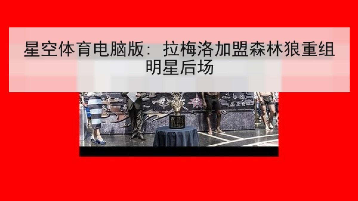 星空体育电脑版: 拉梅洛加盟森林狼重组明星后场