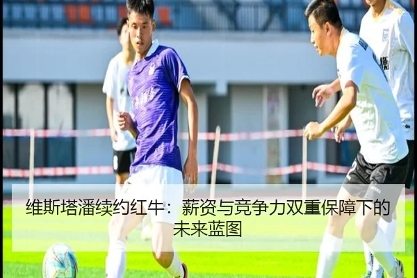 wei-si-ta-pan-xu-yue-hong-niu-xin-zi-yu-jing-zheng-li-shuang-chong-bao-zhang-xia-de-wei-lai-lan-tu-3-524.jpg