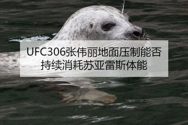 UFC306张伟丽地面压制能否持续消耗苏亚雷斯体能