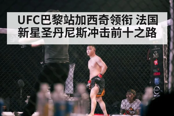 UFC巴黎站加西奇领衔 法国新星圣丹尼斯冲击前十之路